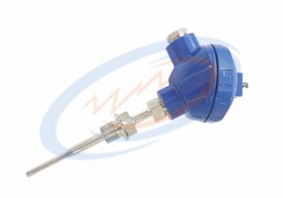 Termopar o RTD Pt100